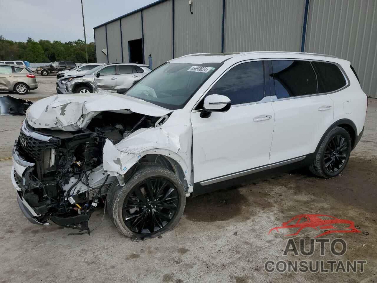 KIA TELLURIDE 2022 - 5XYP54HC1NG318099