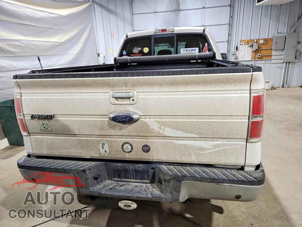 FORD F150 2011 - 1FTFX1ET3BFB36430