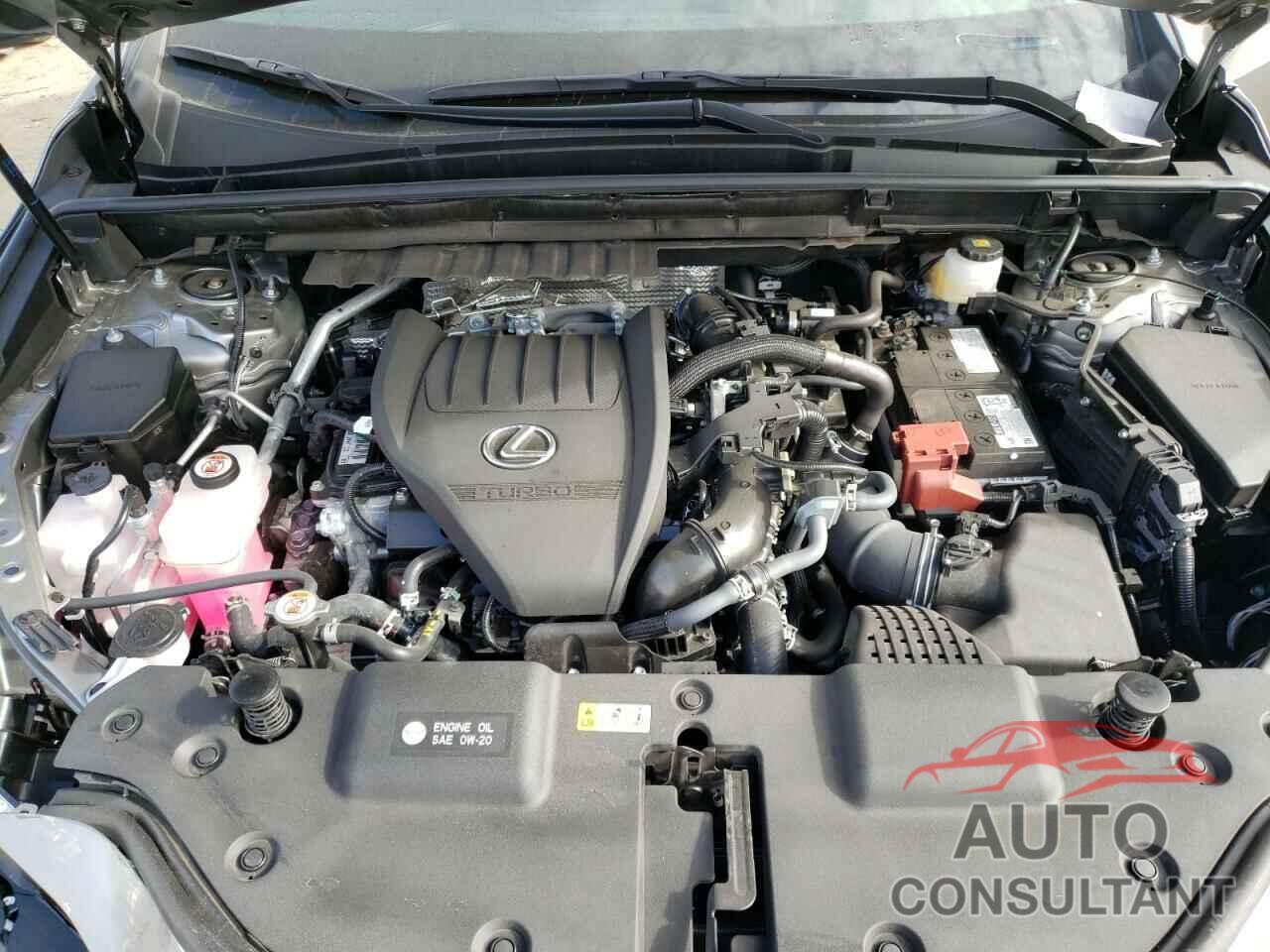 LEXUS NX 350 PRE 2024 - 2T2GGCEZ5RC052418