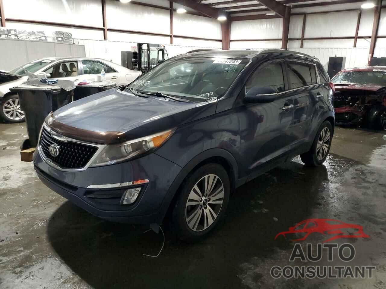 KIA SPORTAGE 2016 - KNDPC3ACXG7813475