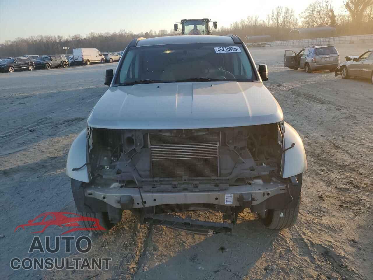 DODGE NITRO 2010 - 1D4PT2GK0AW104045