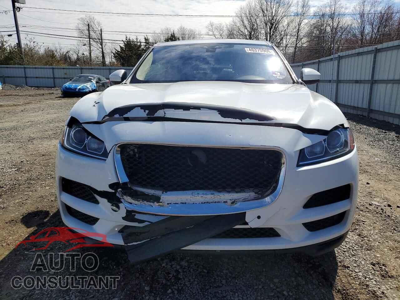JAGUAR F-PACE 2019 - SADCS2FX6KA603818