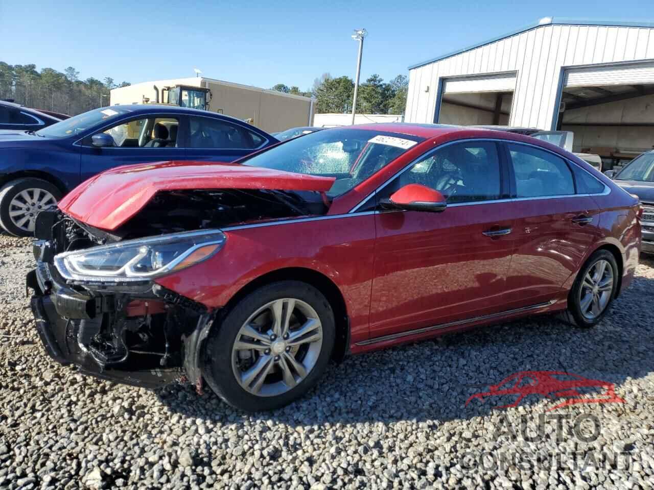 HYUNDAI SONATA 2019 - 5NPE34AF4KH799262