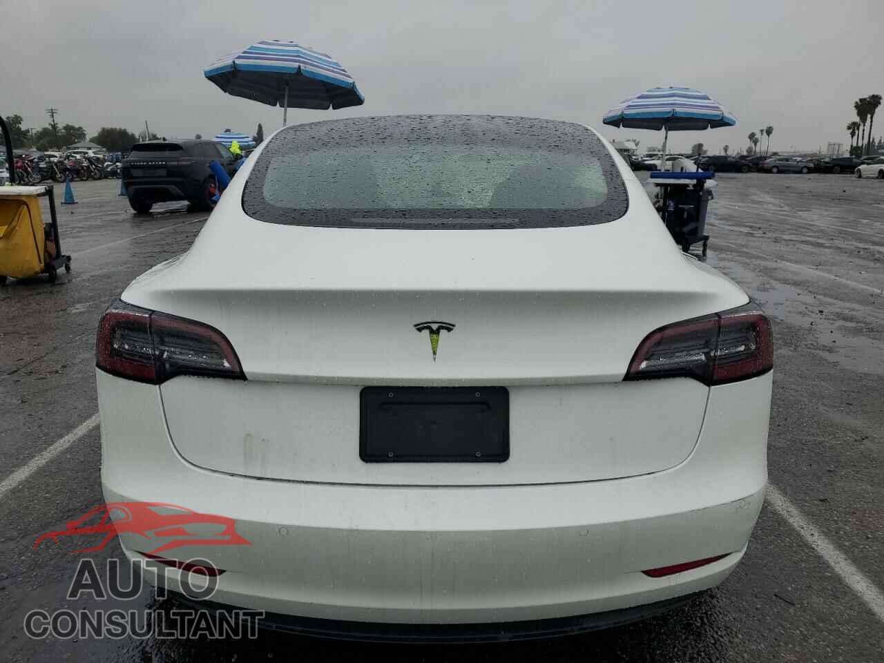 TESLA MODEL 3 2021 - 5YJ3E1EA5MF996201
