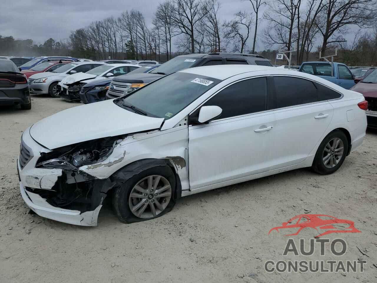 HYUNDAI SONATA 2015 - 5NPE24AF6FH147705