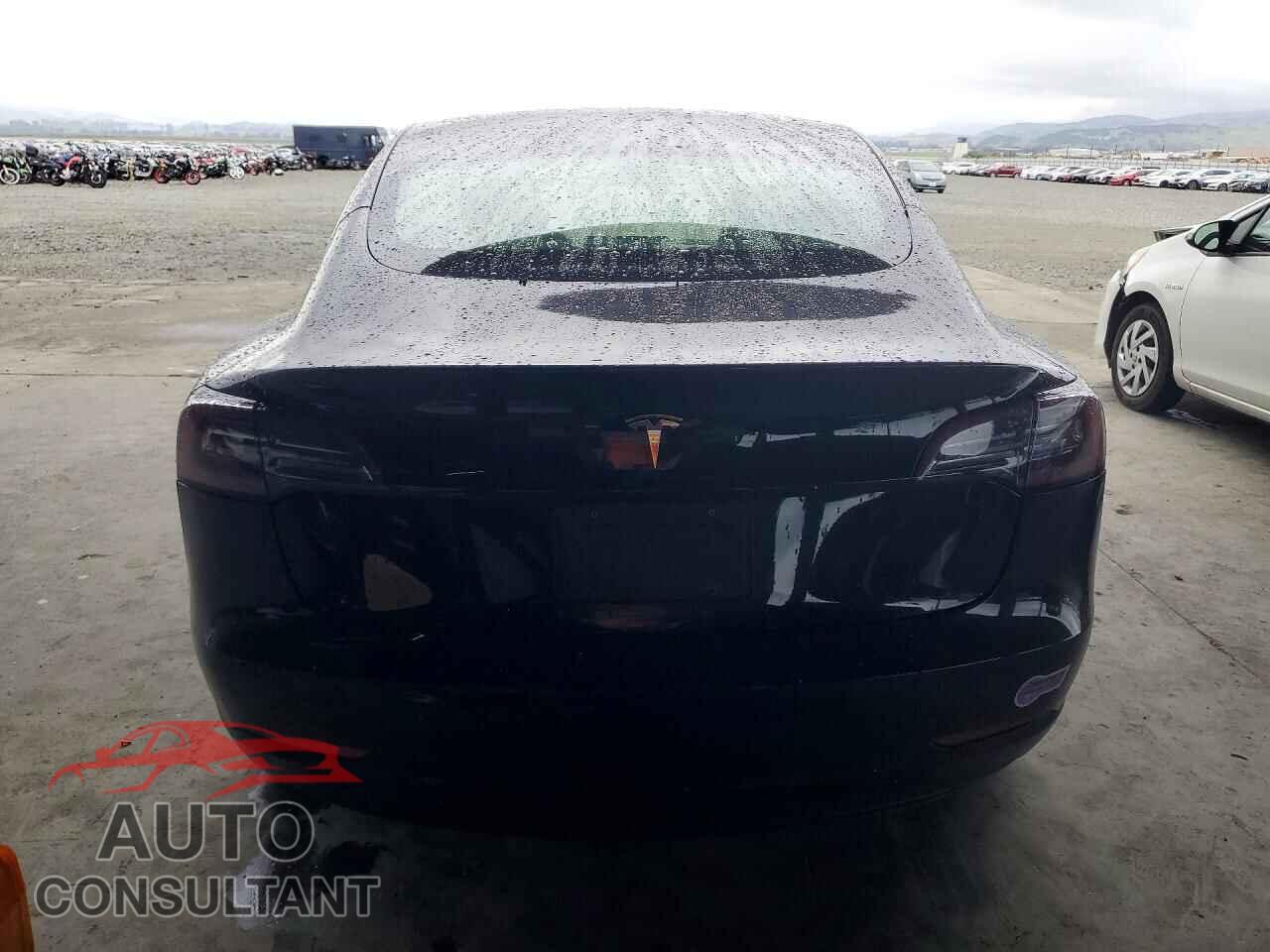 TESLA MODEL 3 2019 - 5YJ3E1EA0KF397641