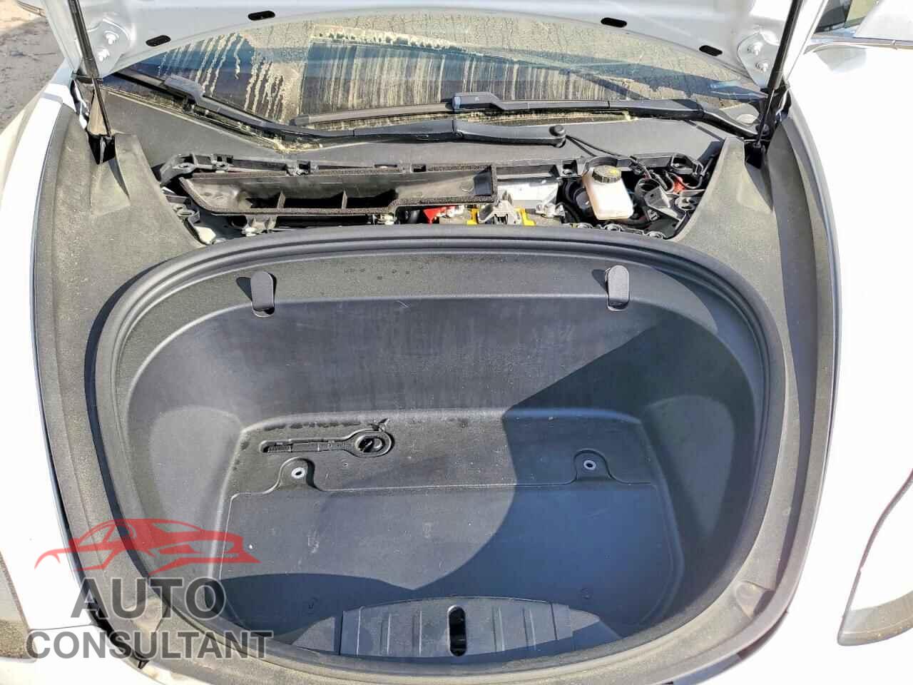 TESLA MODEL 3 2019 - 5YJ3E1EB0KF493875