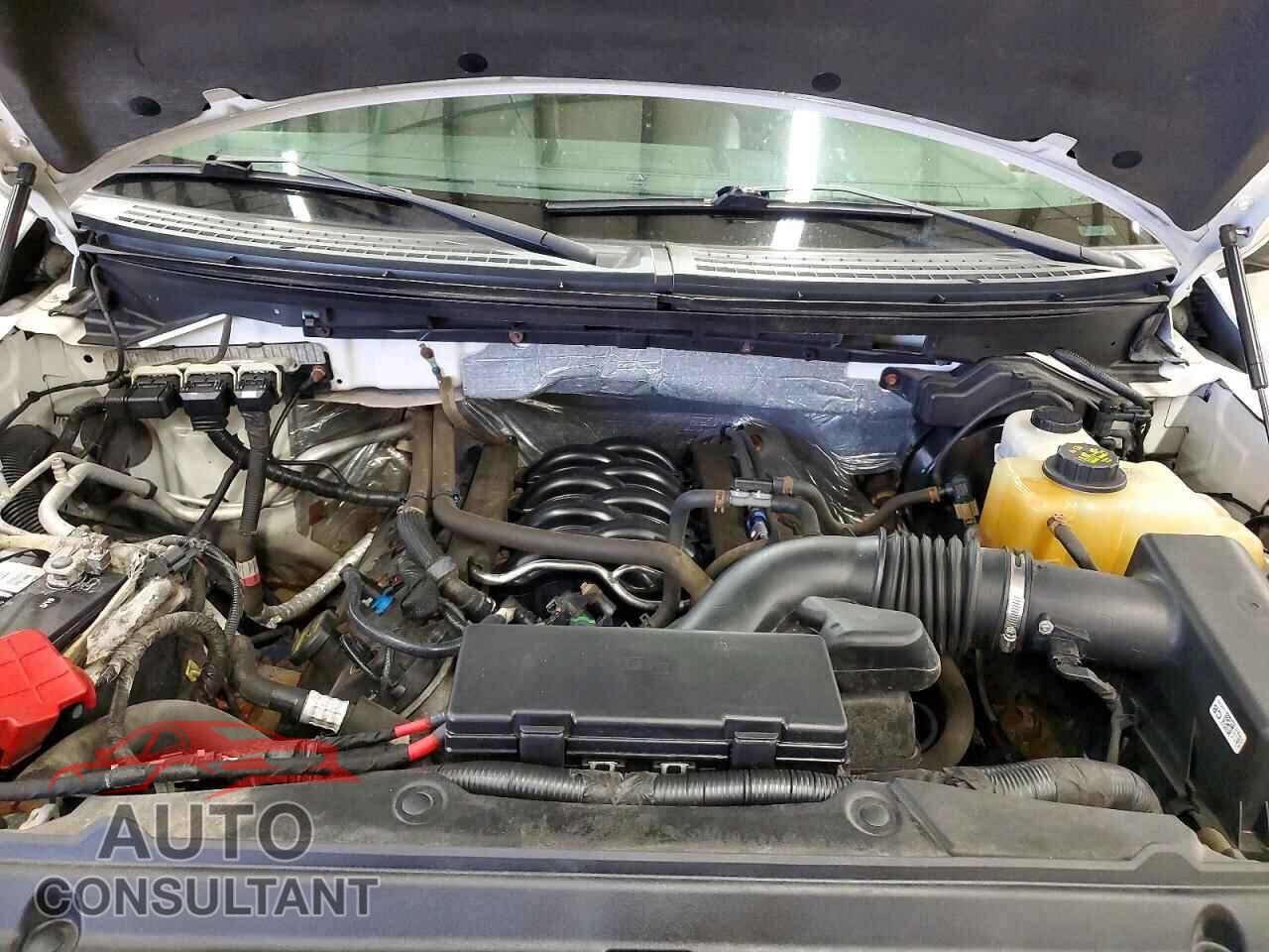 FORD F150 2013 - 1FTFW1EF5DFD58354