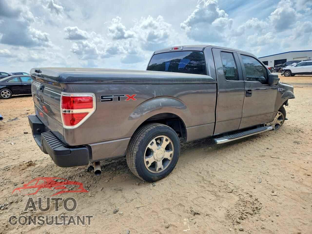 FORD F150 2010 - 1FTEX1CW1AFB04650
