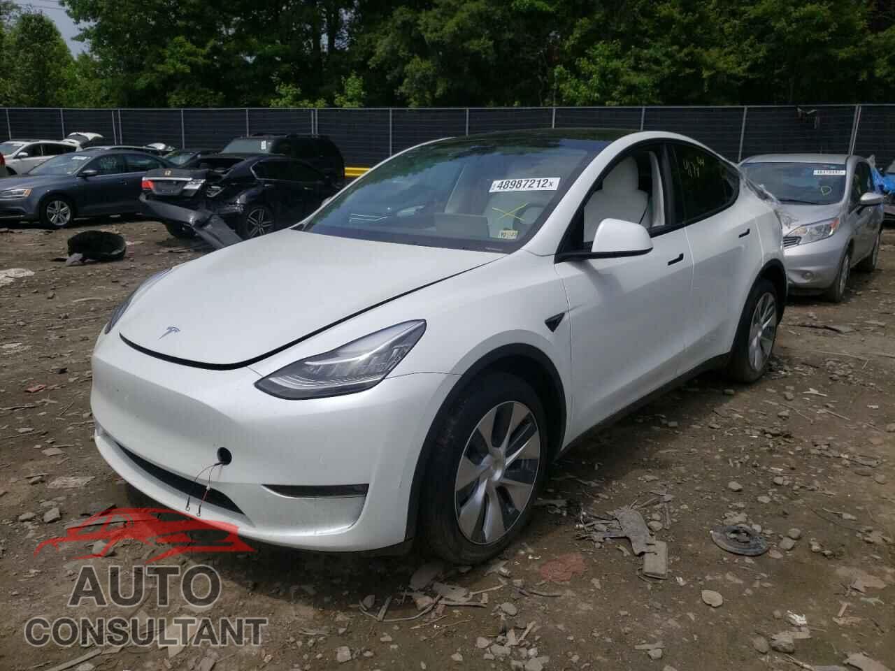 TESLA MODEL Y 2021 - 5YJYGDEE2MF295149