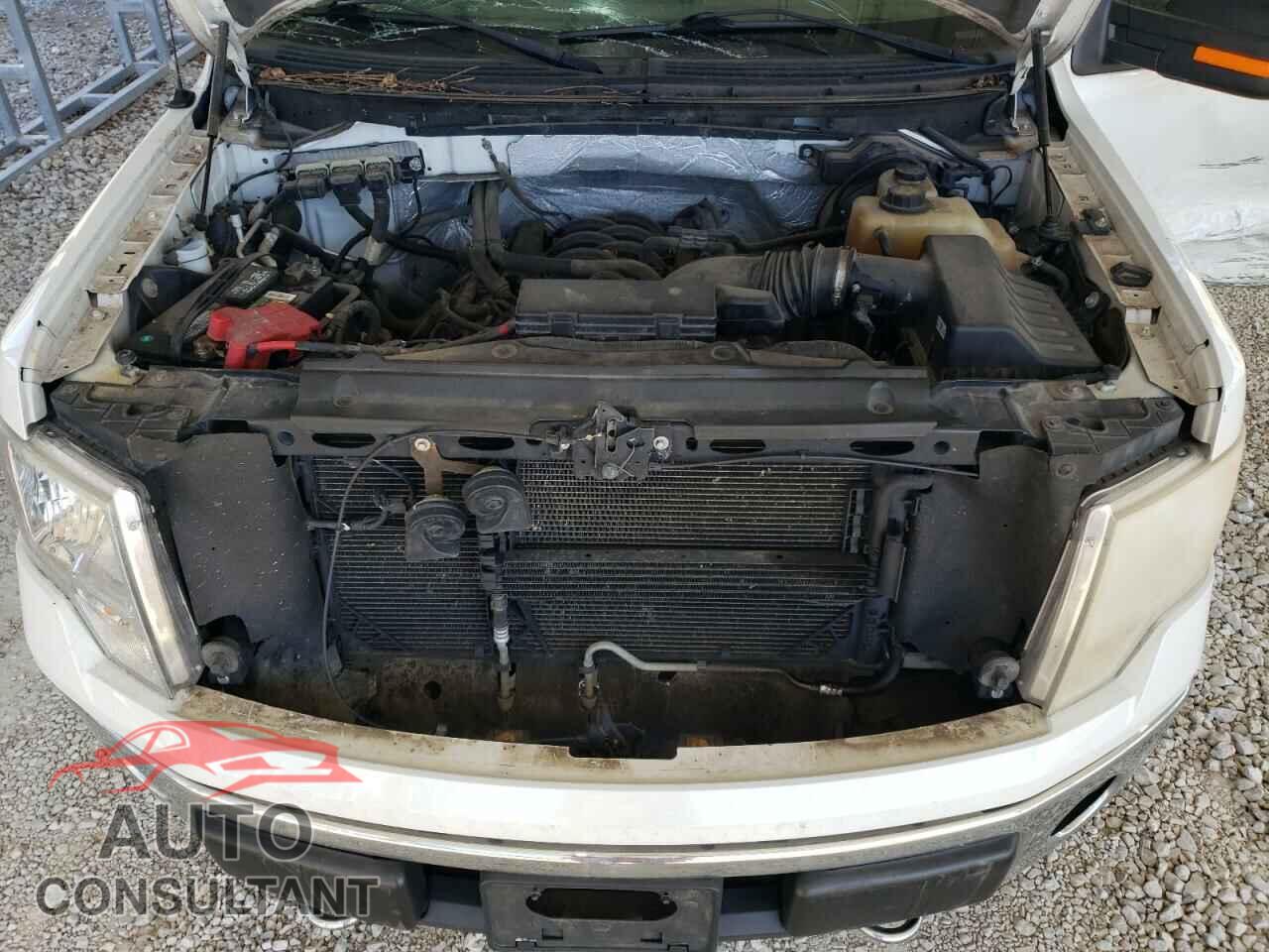 FORD F-150 2012 - 1FTFX1EF8CFA86748