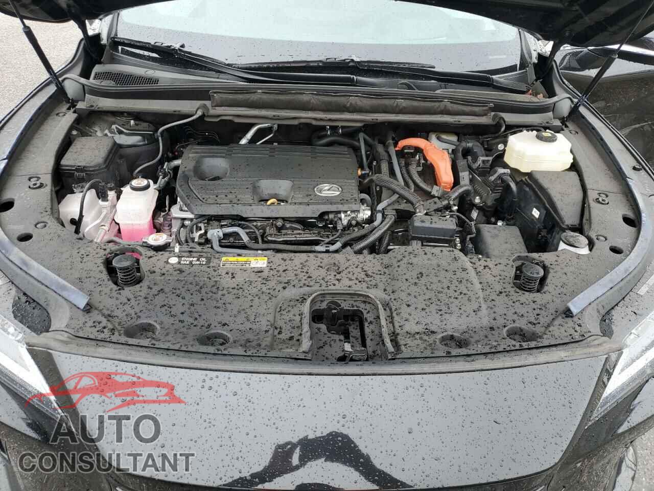 LEXUS RX 350H BA 2023 - 2T2BBMCAXPC015258