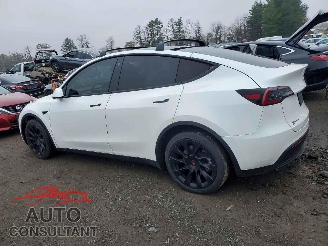 TESLA MODEL Y 2022 - 7SAYGAEE2NF420167