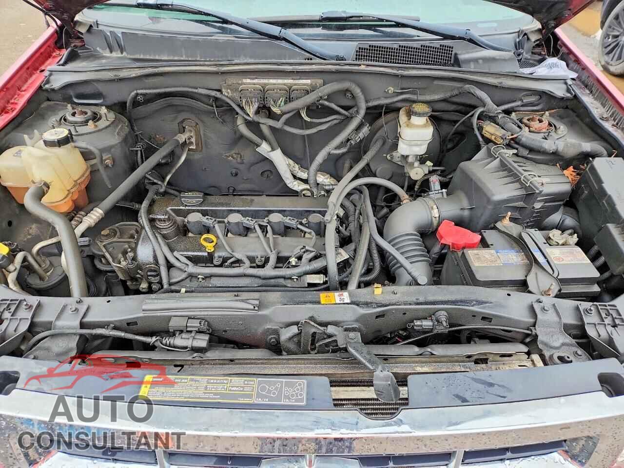 FORD ESCAPE 2011 - 1FMCU0D71BKB37542