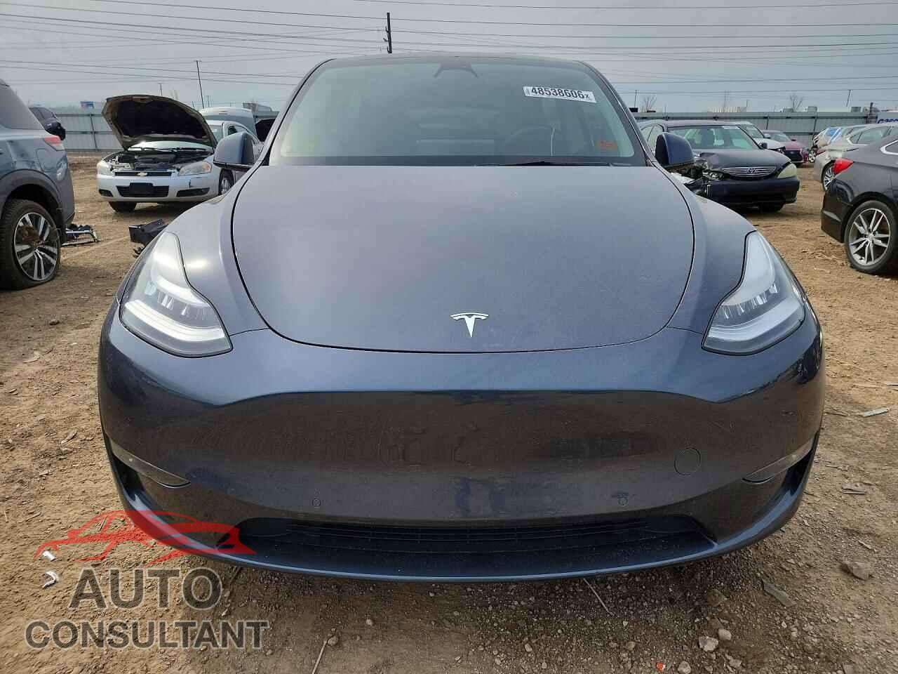 TESLA MODEL Y 2021 - 5YJYGDEEXMF093515
