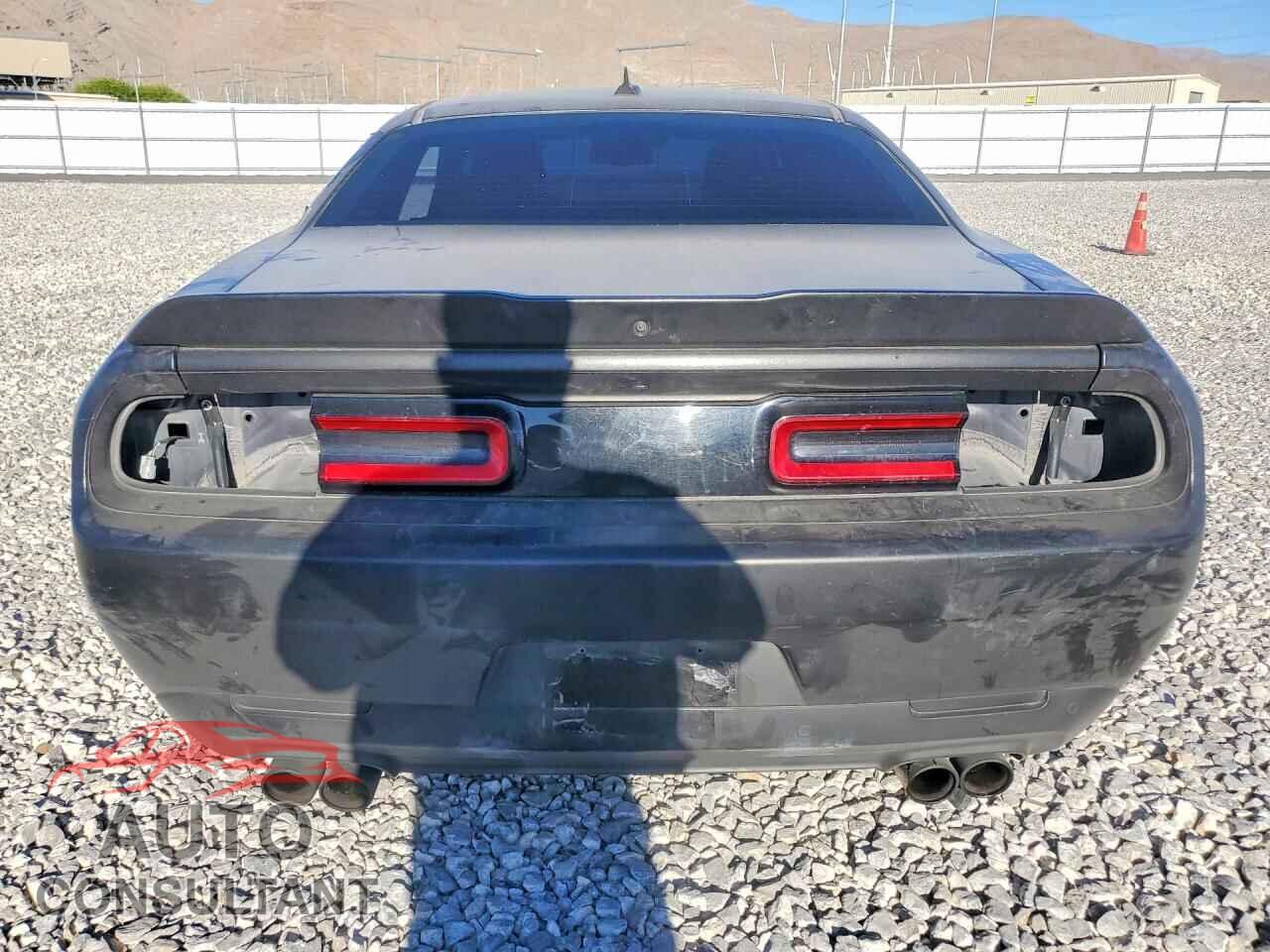 DODGE CHALLENGER 2018 - 2C3CDZAG8JH131955