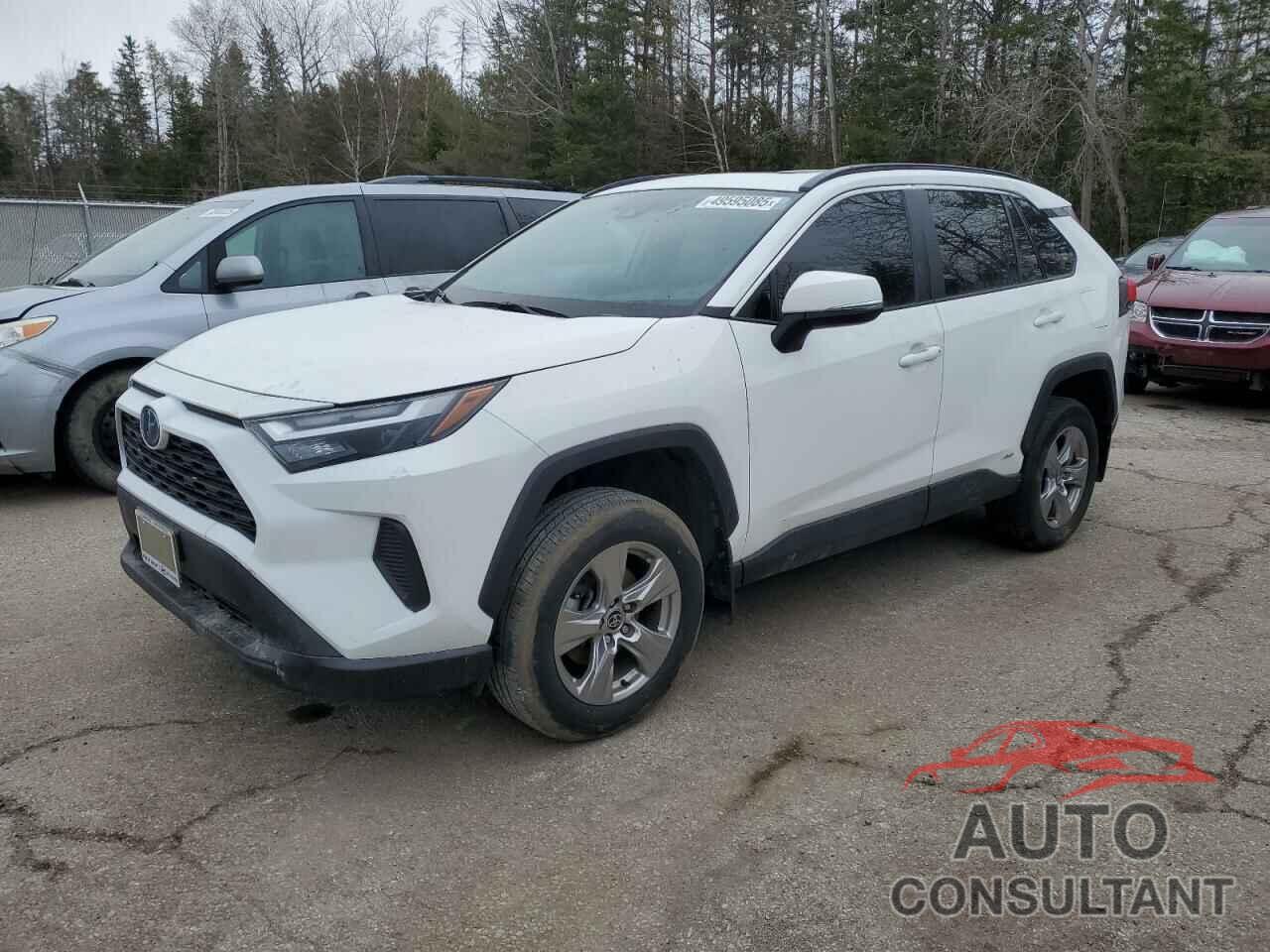 TOYOTA RAV4 2022 - 2T3RWRFV3NW140608