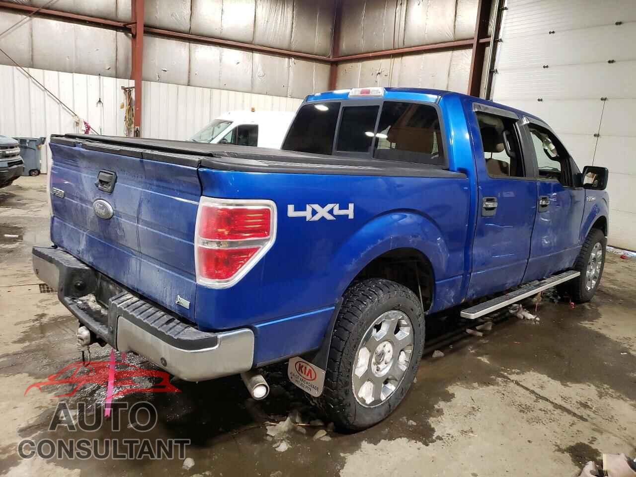 FORD F150 2010 - 1FTFW1EV2AFC52897