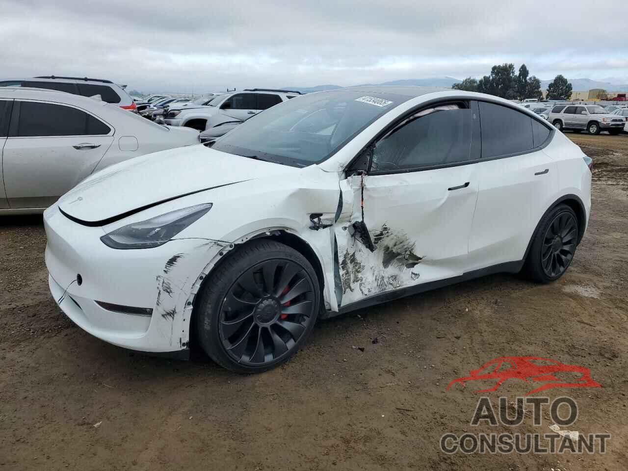 TESLA MODEL Y 2023 - 7SAYGDEF6PF924461
