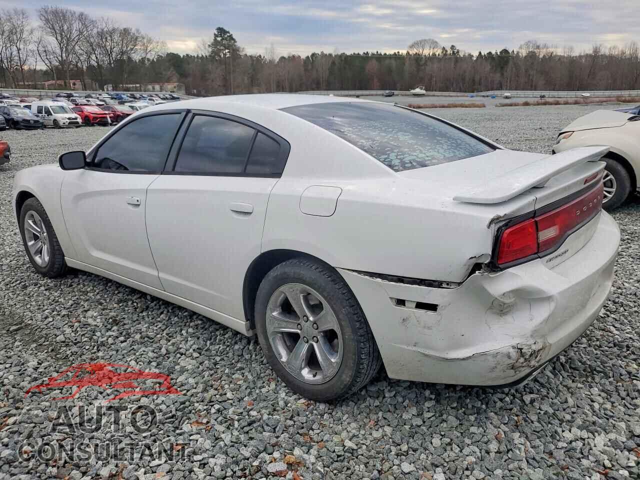 DODGE CHARGER 2014 - 2C3CDXBG3EH144945