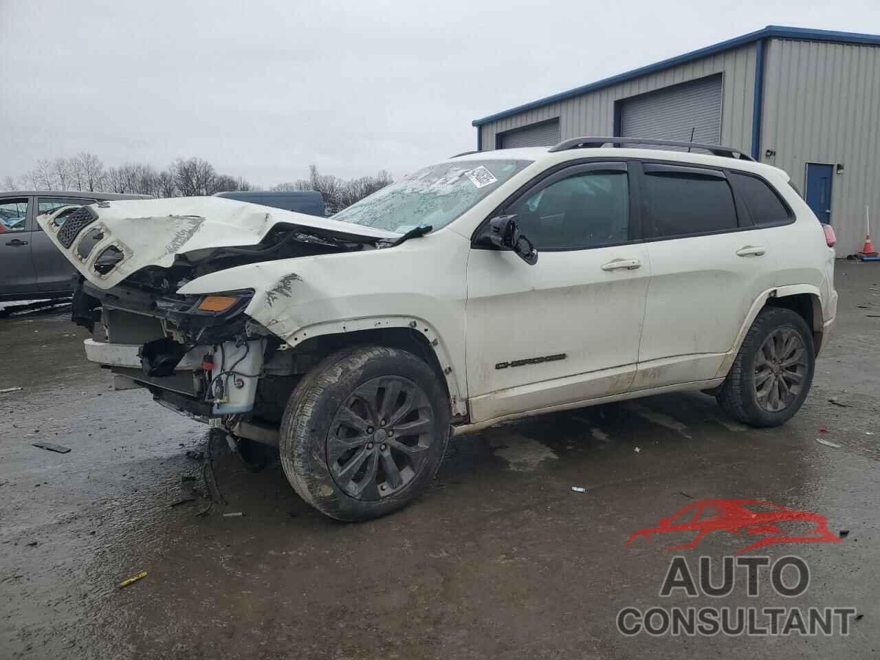 JEEP GRAND CHER 2019 - 1C4PJMDX2KD334133
