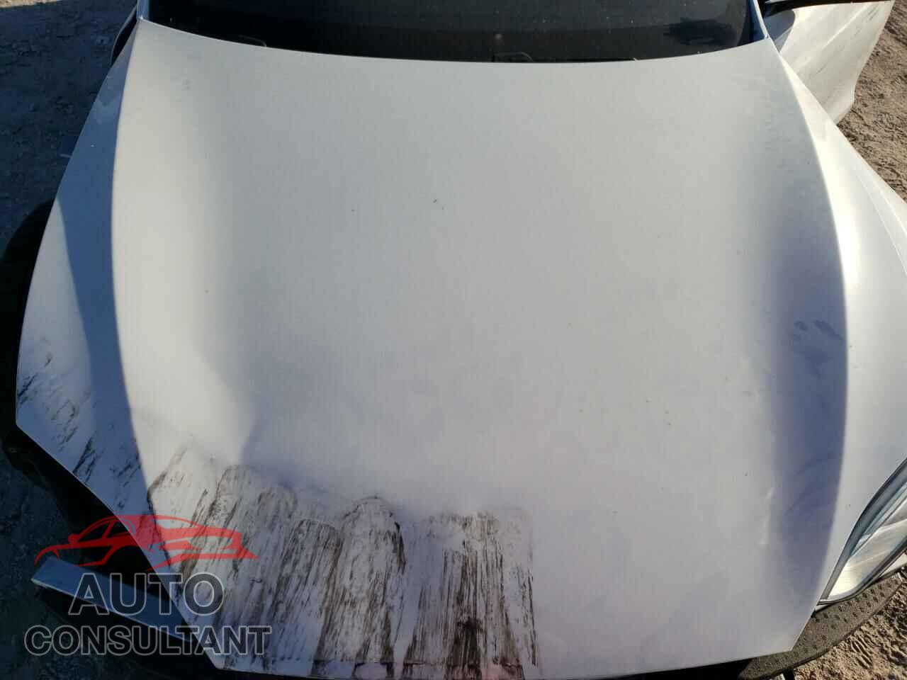 TESLA MODEL S 2021 - 5YJSA1E6XMF435091