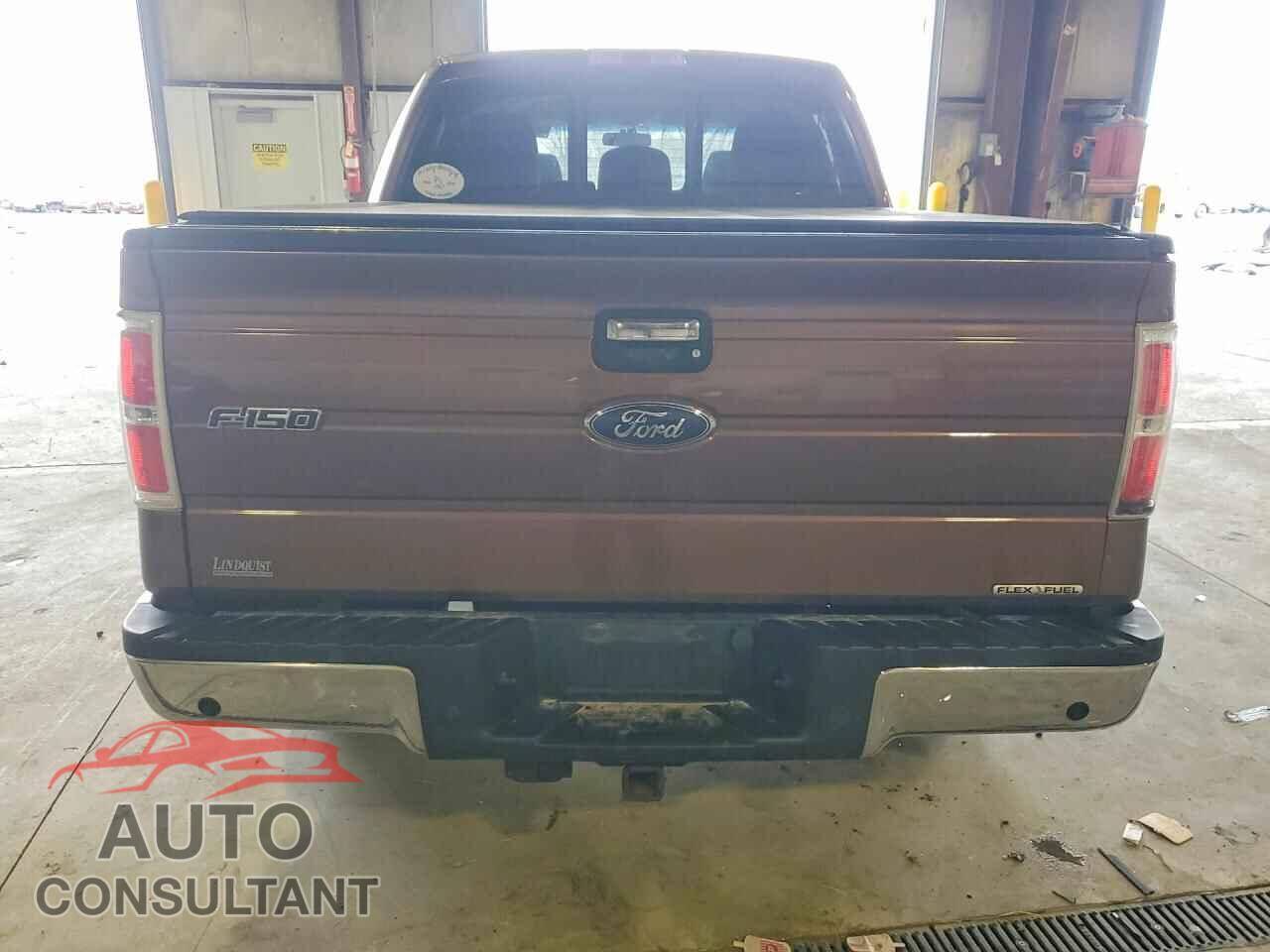 FORD F150 2011 - 1FTEW1CM8BFA42375