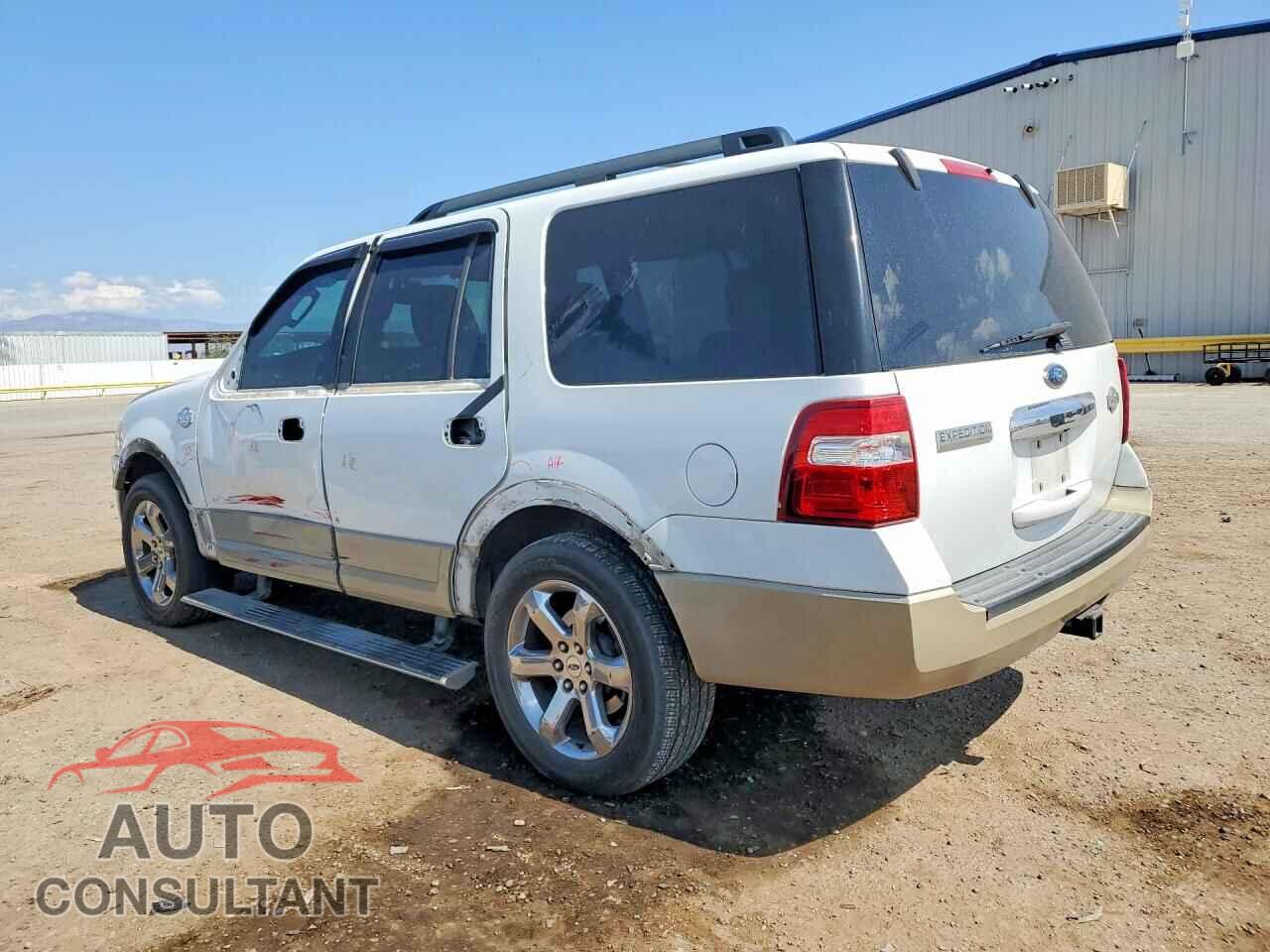 FORD EXPEDITION 2009 - 1FMFU17519EA99655