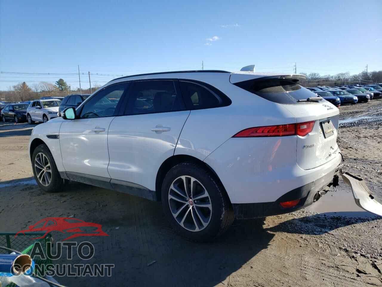 JAGUAR F-PACE 2017 - SADCJ2BV8HA098817