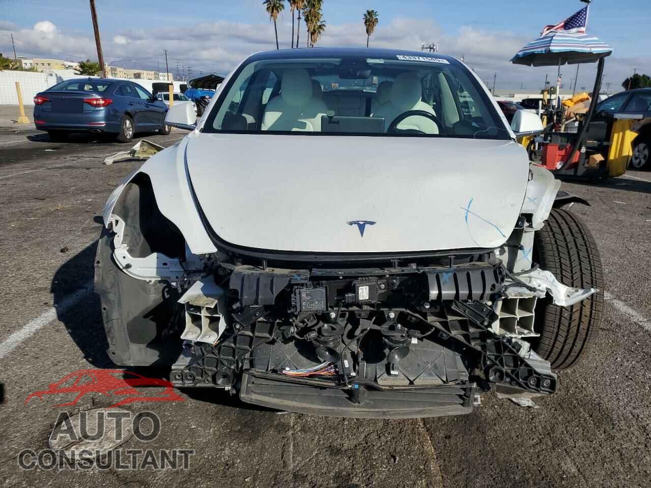TESLA MODEL 3 2019 - 5YJ3E1EB7JF134781