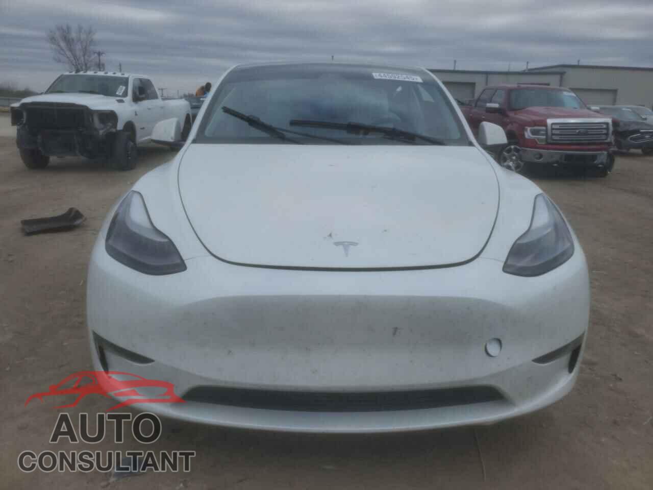 TESLA MODEL Y 2023 - 7SAYGDEF0PF791552
