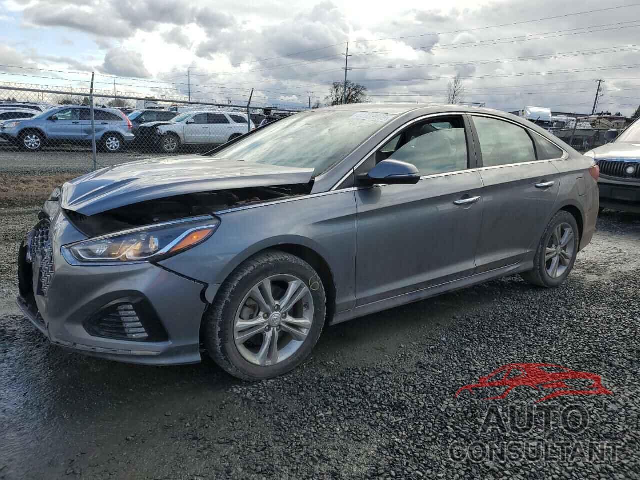 HYUNDAI SONATA 2019 - 5NPE34AF4KH781053
