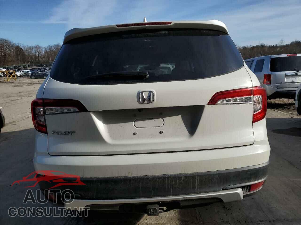 HONDA PILOT 2019 - 5FNYF5H56KB030039