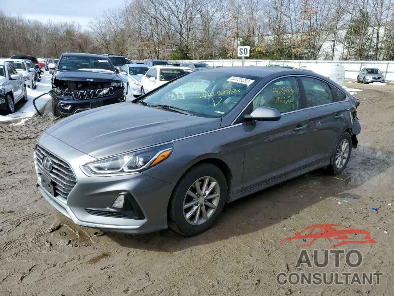 HYUNDAI SONATA 2019 - 5NPE24AF3KH820346