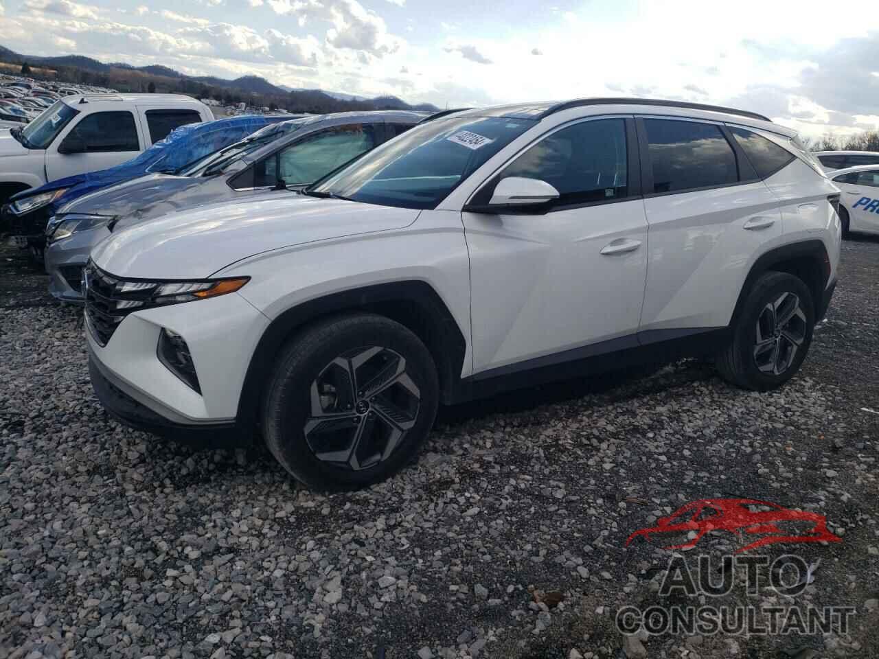 HYUNDAI TUCSON 2022 - KM8JFCA17NU023248