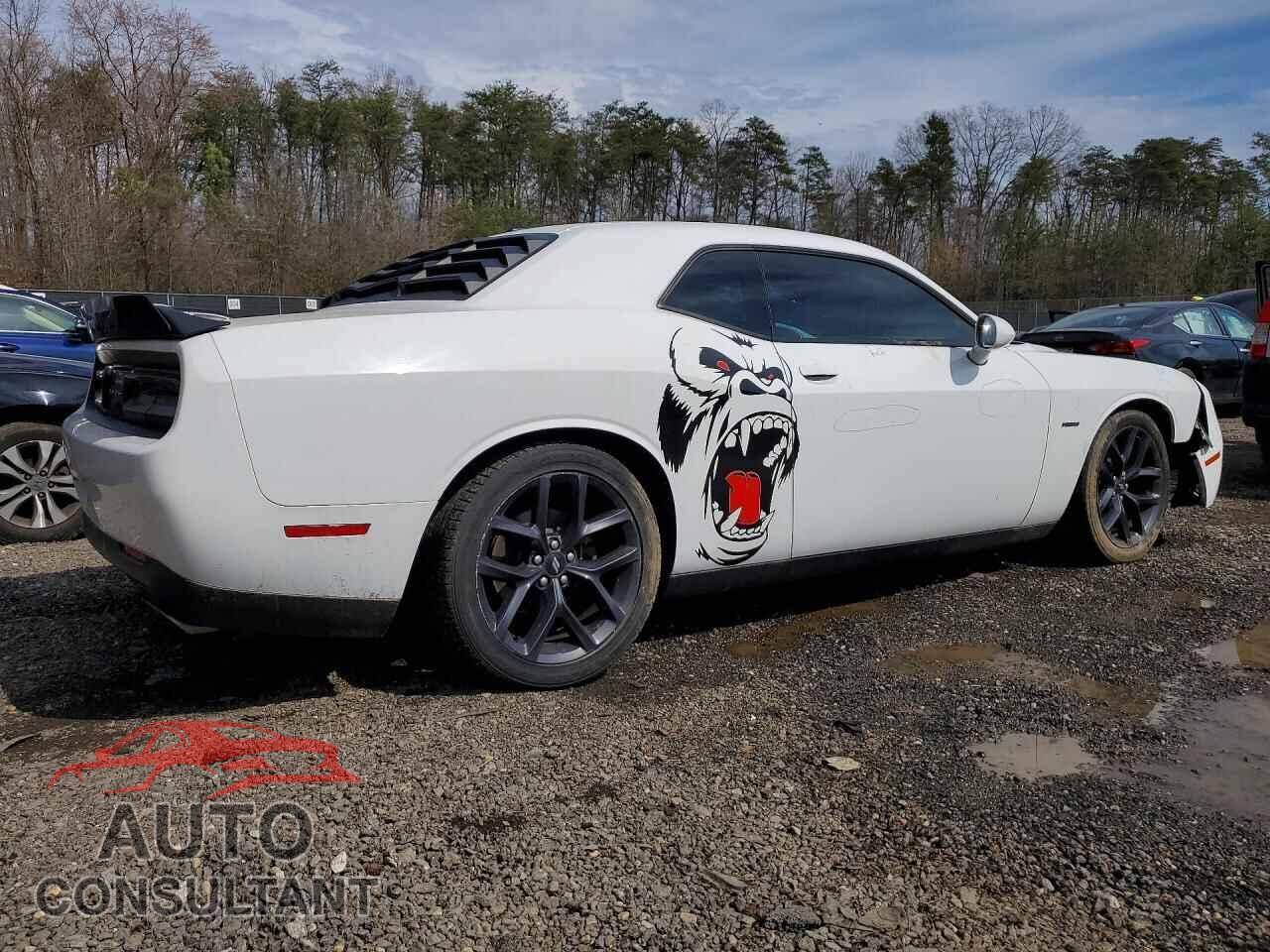 DODGE CHALLENGER 2019 - 2C3CDZBT8KH583272