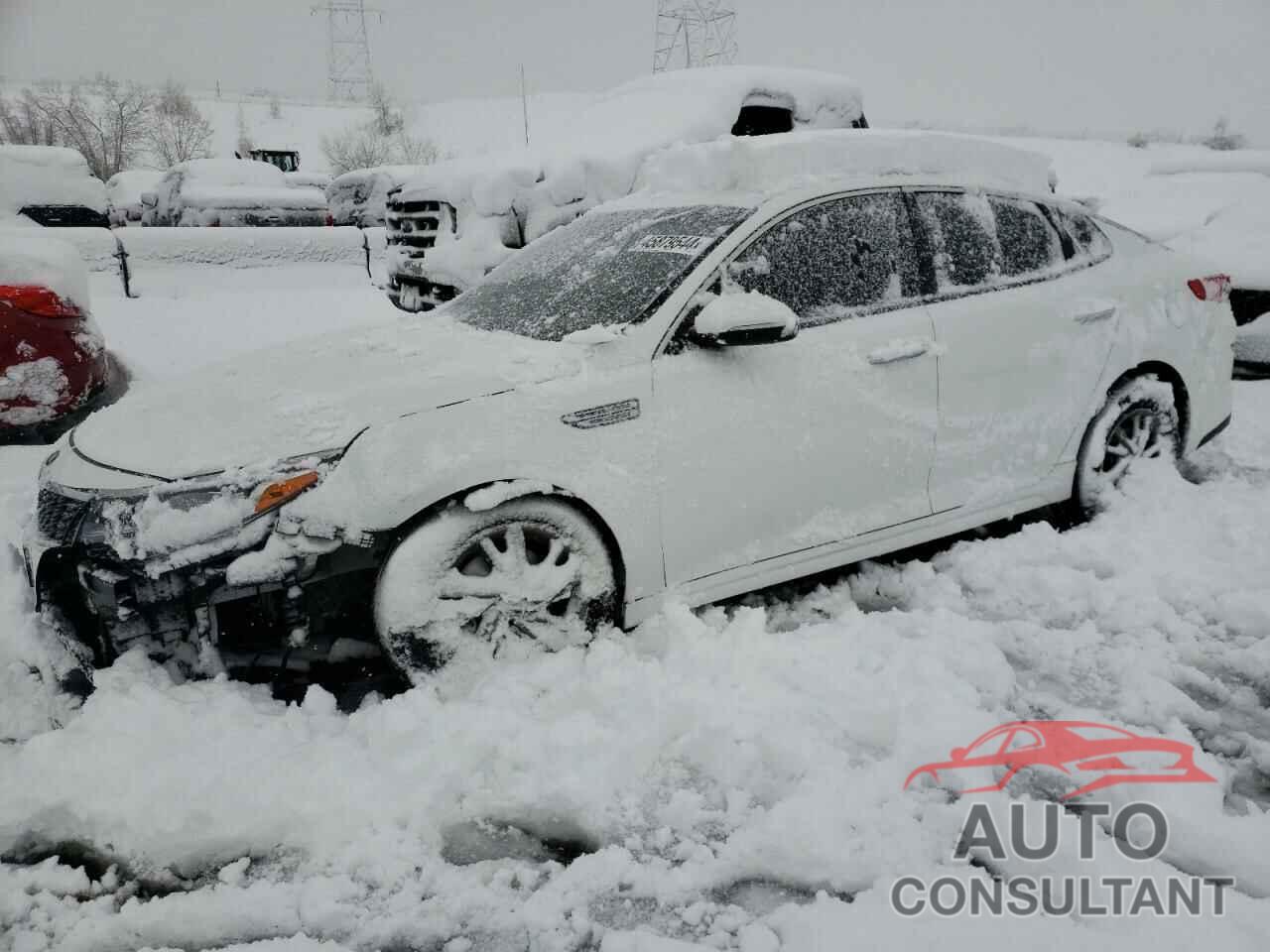 KIA OPTIMA 2019 - 5XXGT4L36KG285162