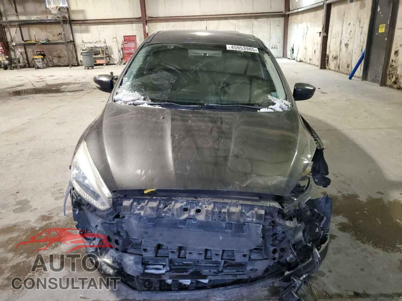 FORD FOCUS 2016 - 1FADP3F23GL262391