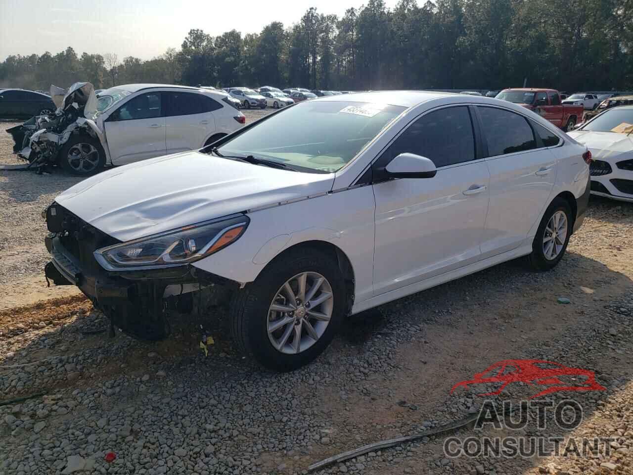 HYUNDAI SONATA 2019 - 5NPE24AF4KH771674