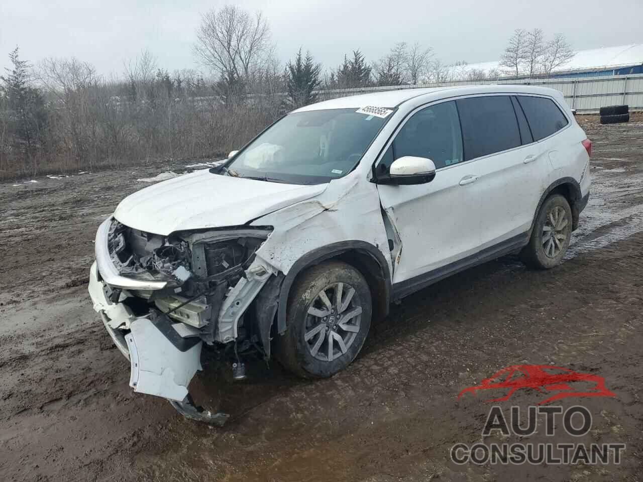 HONDA PILOT 2021 - 5FNYF6H34MB022447