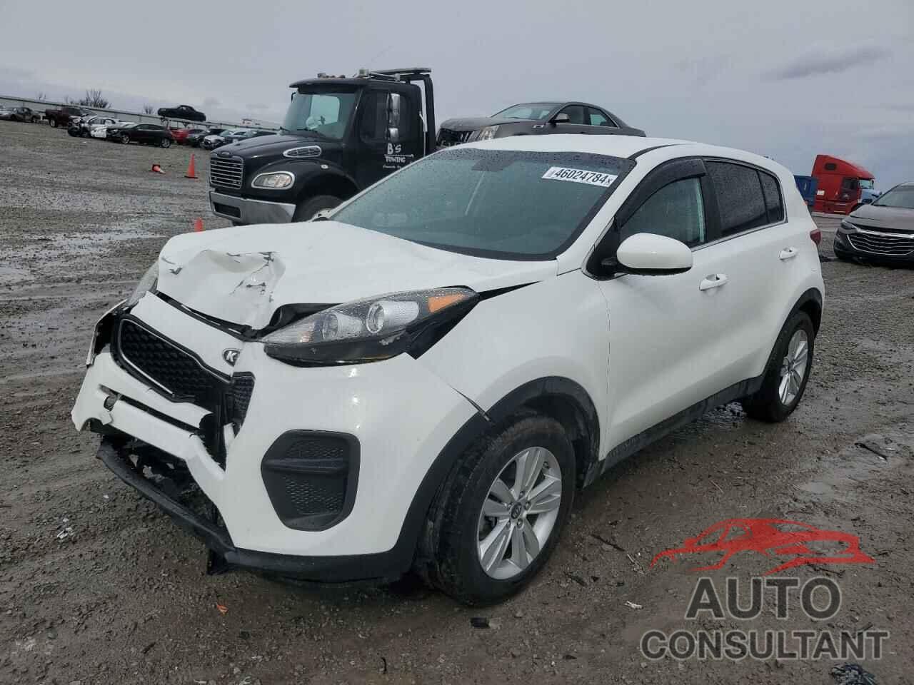 KIA SPORTAGE 2019 - KNDPM3AC3K7545424