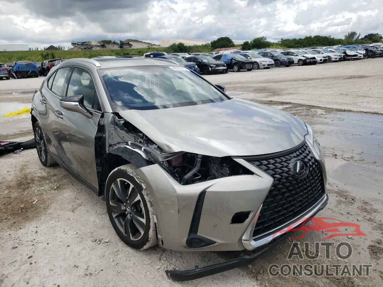 LEXUS UX 200 2019 - JTHY3JBH4K2007705