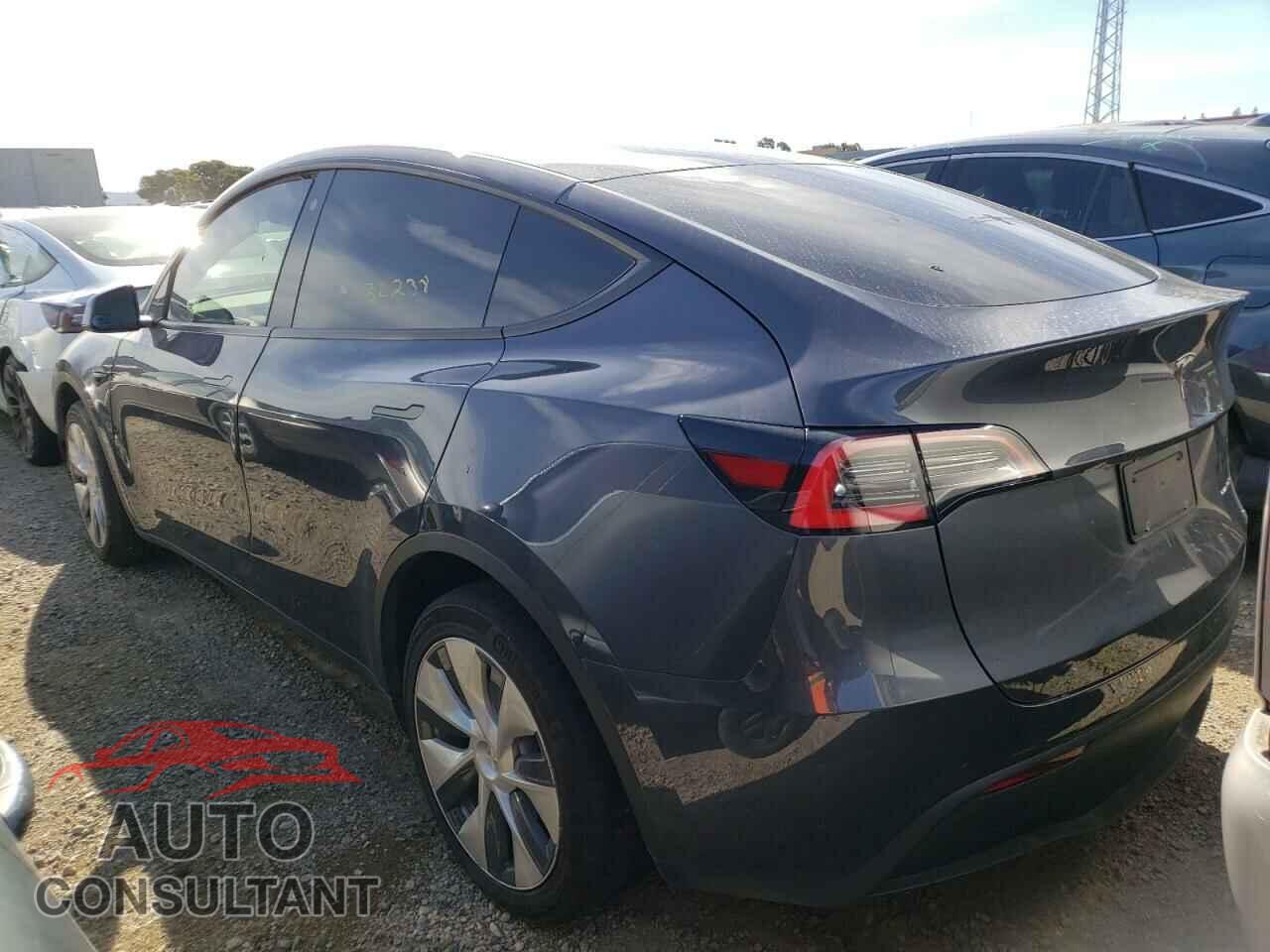 TESLA MODEL Y 2021 - 5YJYGDEE5MF086116