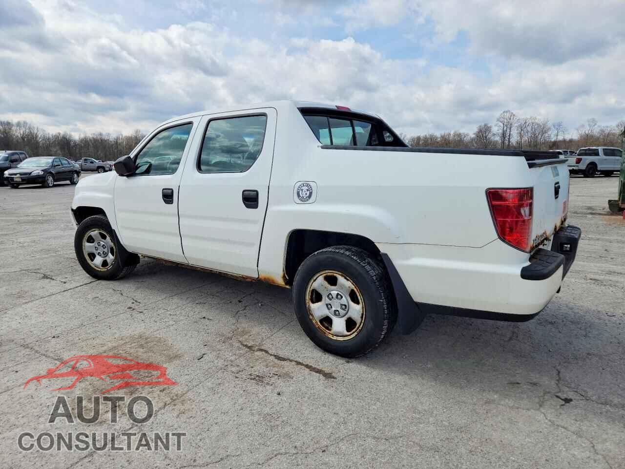 HONDA RIDGELINE 2010 - 5FPYK1F21AB010767