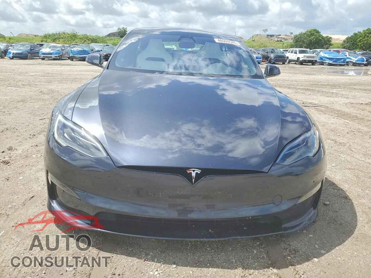 TESLA MODEL S 2024 - 5YJSA1E6XRF538745