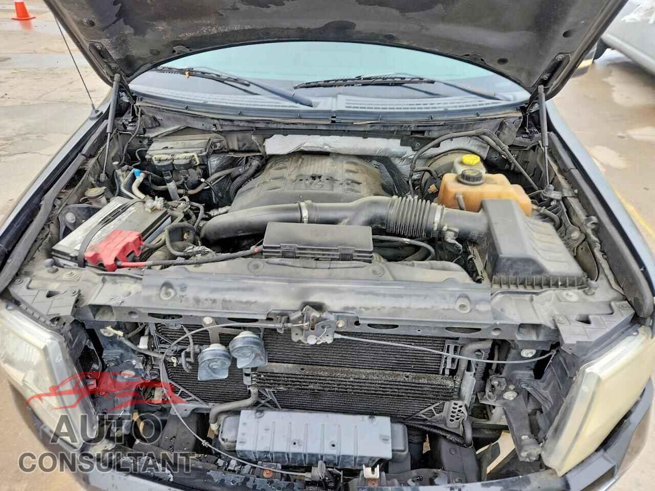 FORD F150 2011 - 1FTFX1CT8BFA83579