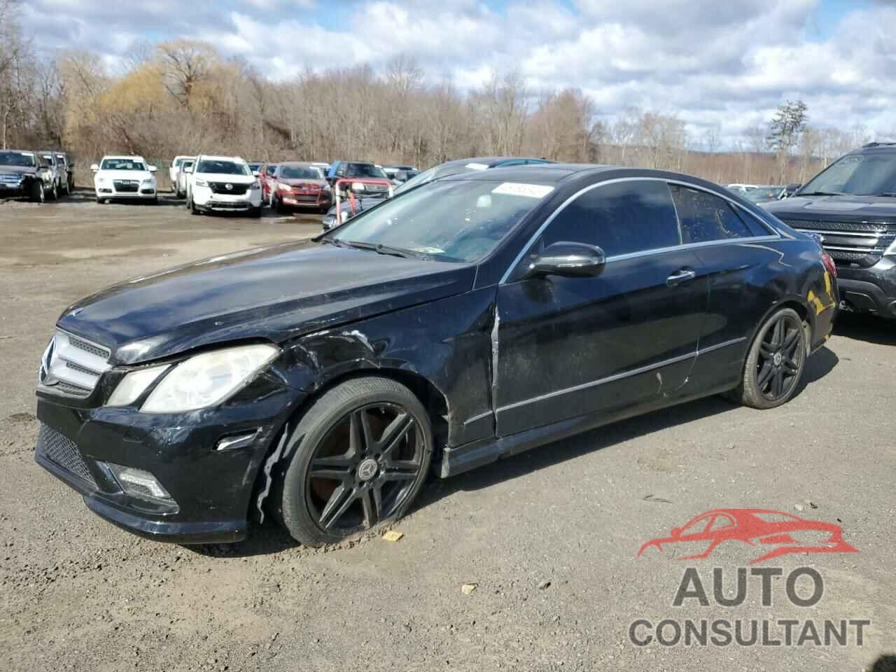 MERCEDES-BENZ E-CLASS 2010 - WDDKJ7CB3AF009212