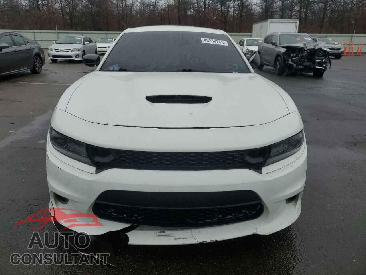 DODGE CHARGER 2019 - 2C3CDXGJ9KH546713