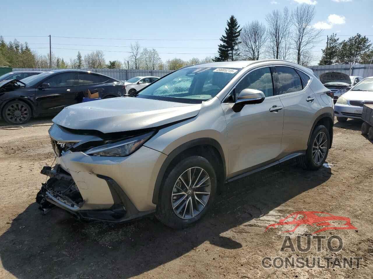 LEXUS NX 250 BAS 2025 - 2T2ADCEZ0SC006175