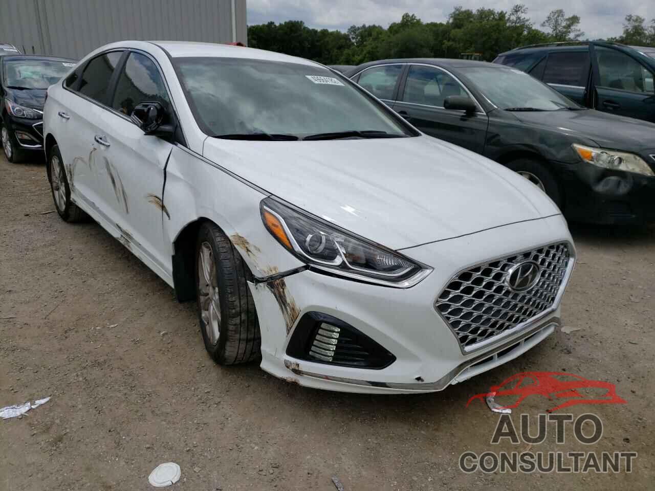 HYUNDAI SONATA 2019 - 5NPE34AF1KH809178